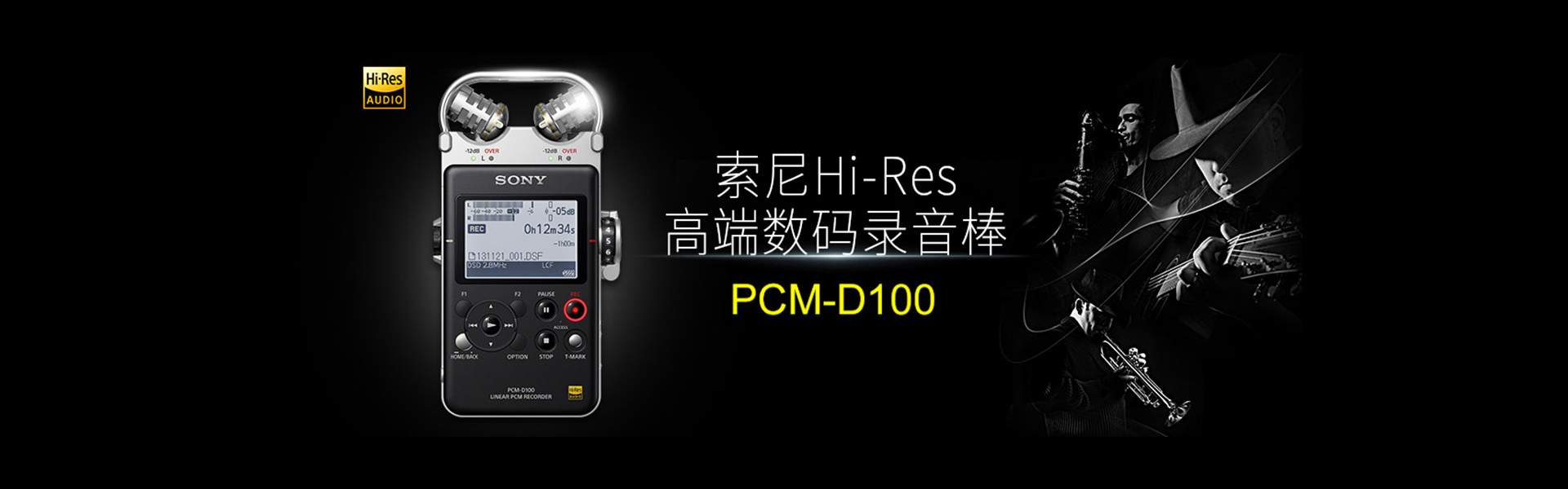 PCM-D100