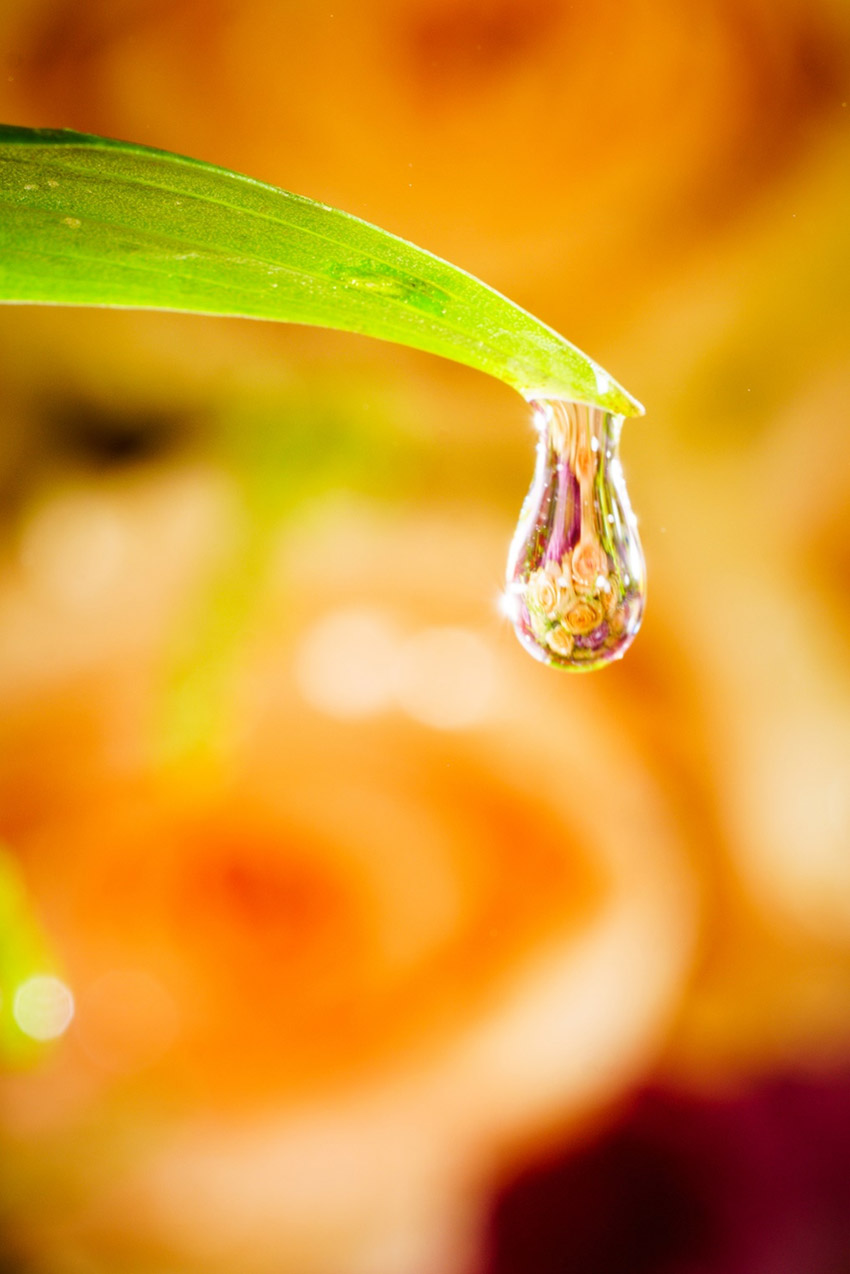 花花草草这么拍 - - 上海证券会馆 花花草草这么拍 - - 上海证券会馆
