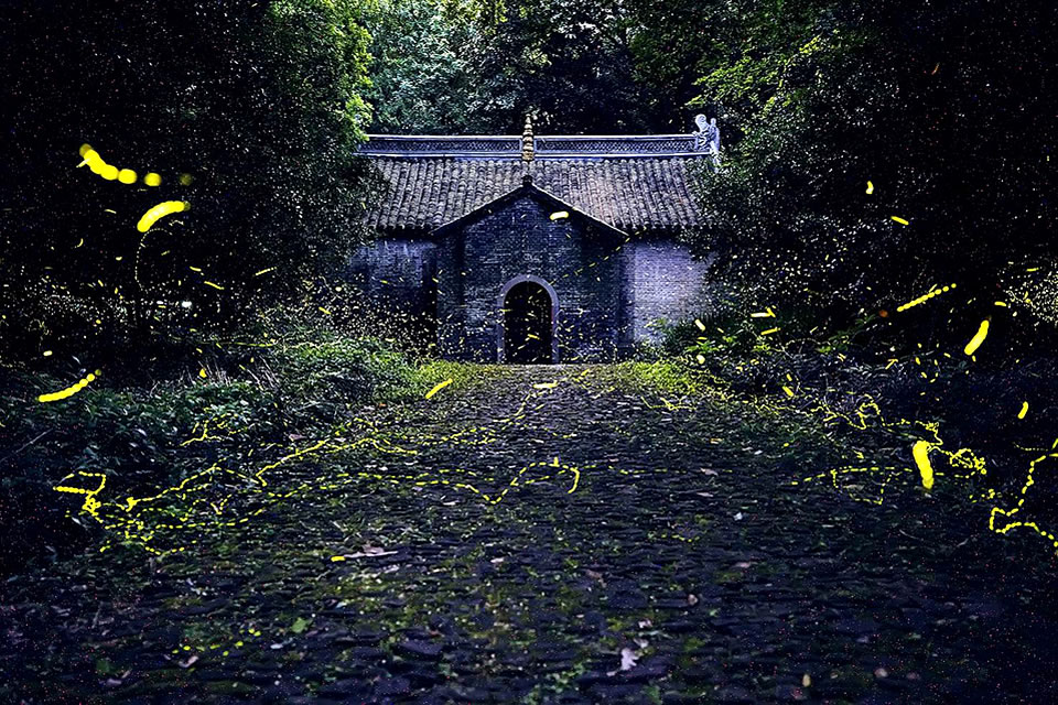 PlayMemories Camera Apps 智能相机应用程序