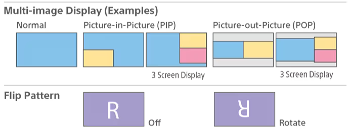 Multiple display modes