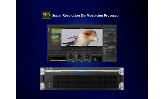 Super Resolution De-Mosaicing Processor