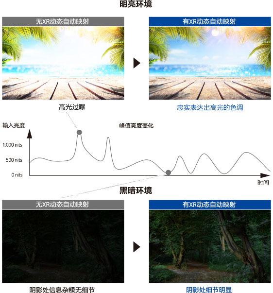 XR动态自动映射