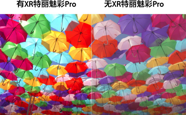 XR特丽魅彩Pro
