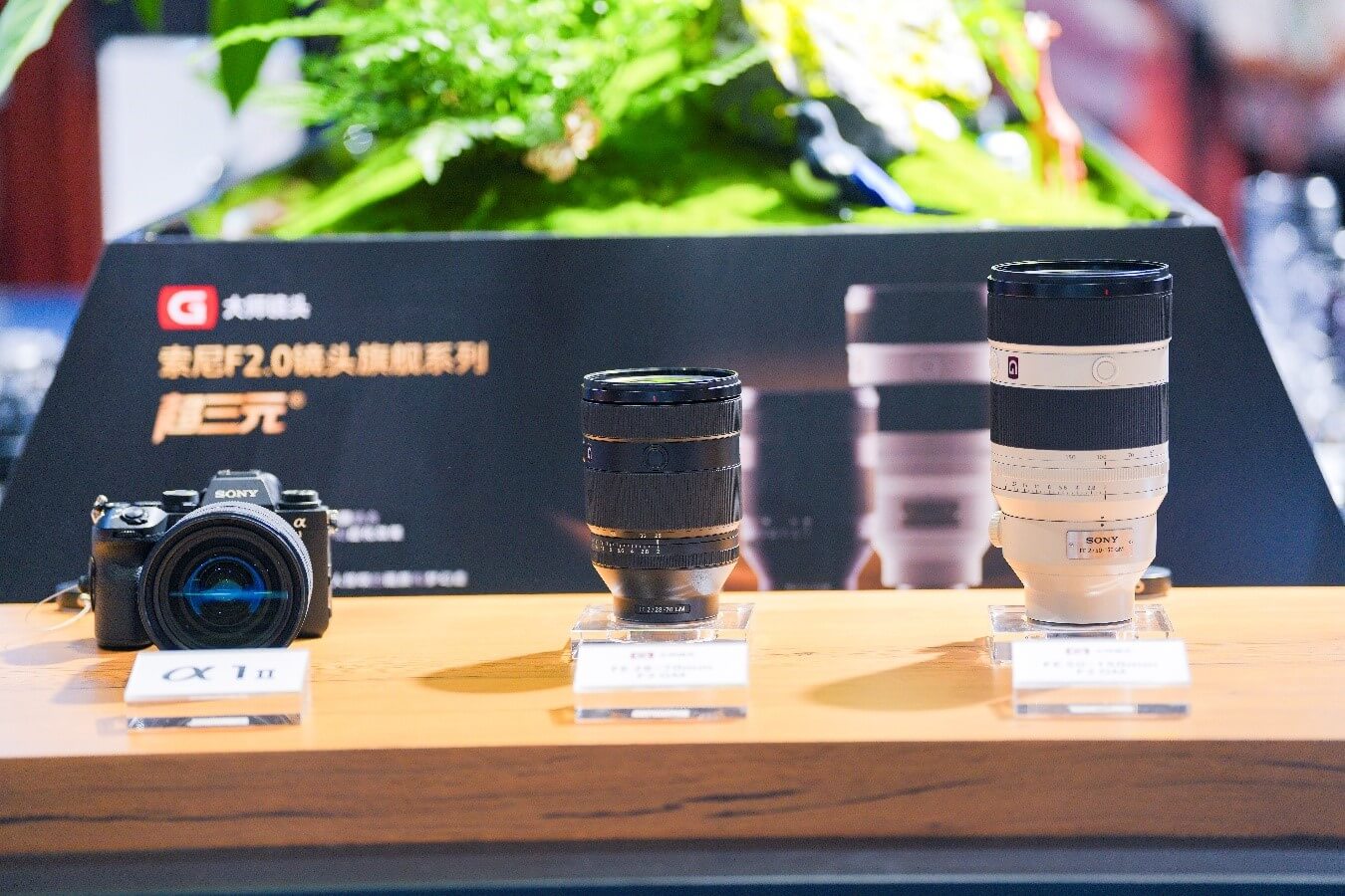 图例：这些色块的颜色是相同的，但在不同图案环境和明暗对比下人眼的主观感觉却不相同