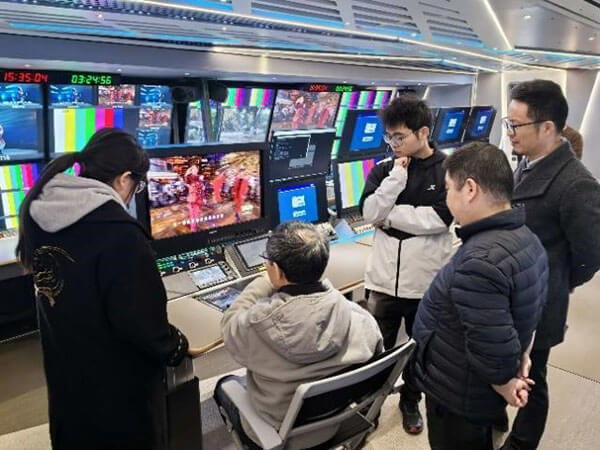 图例：这些色块的颜色是相同的，但在不同图案环境和明暗对比下人眼的主观感觉却不相同