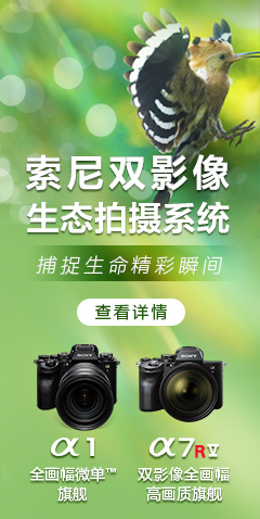 索尼双影像 生态拍摄系统