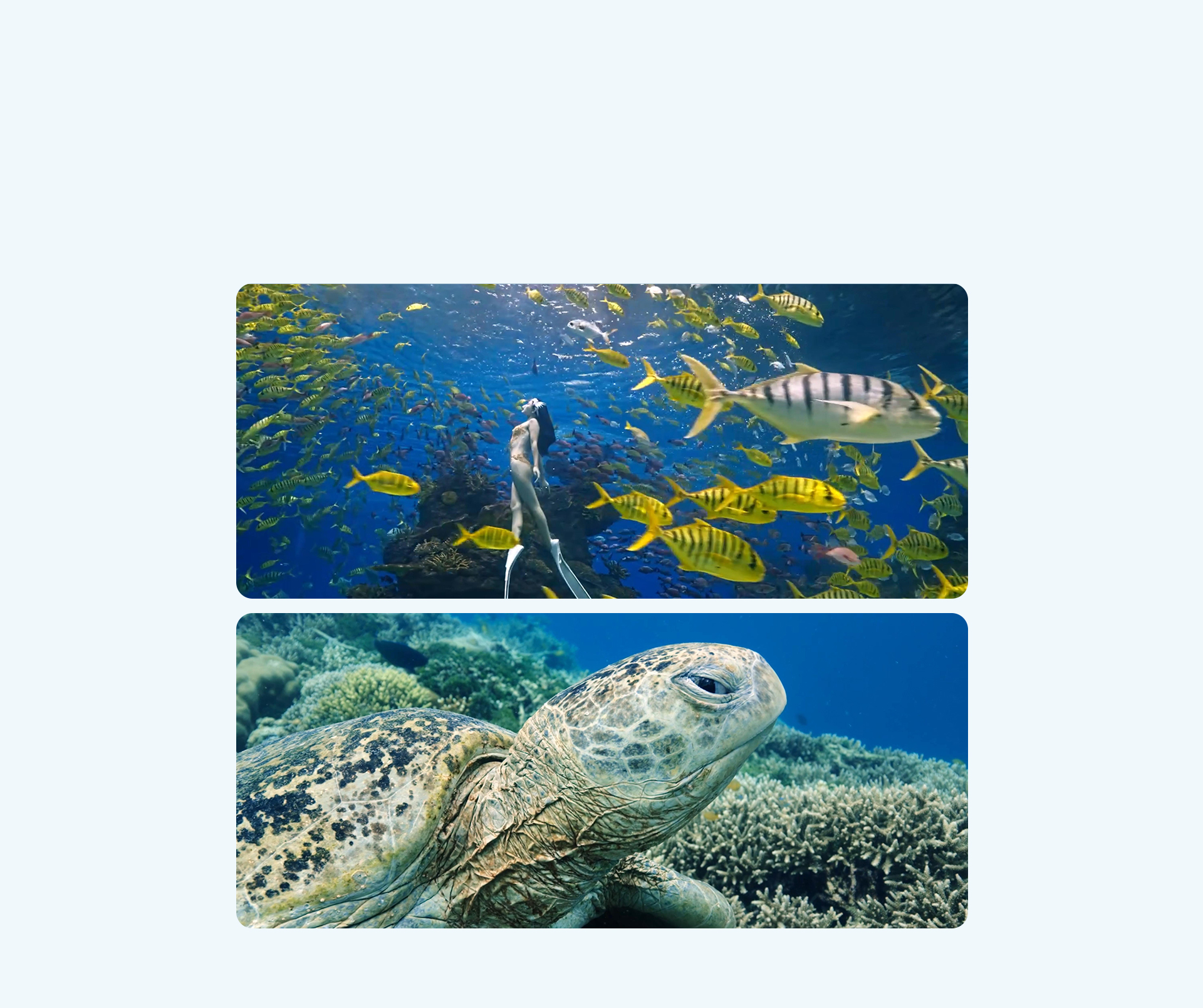 探索数字科技 激发影像潜能