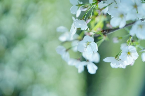 现场感·本来生动