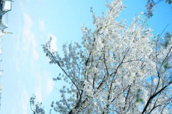 现场感·本来生动
