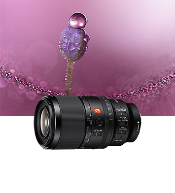 sel50150gm镜头产品图&样照展示