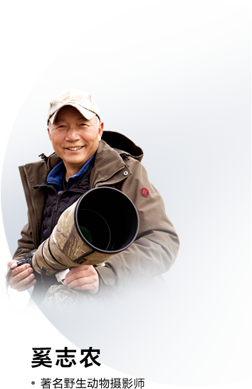 摄影师介绍