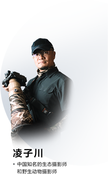 摄影师介绍