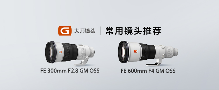 常用镜头推荐