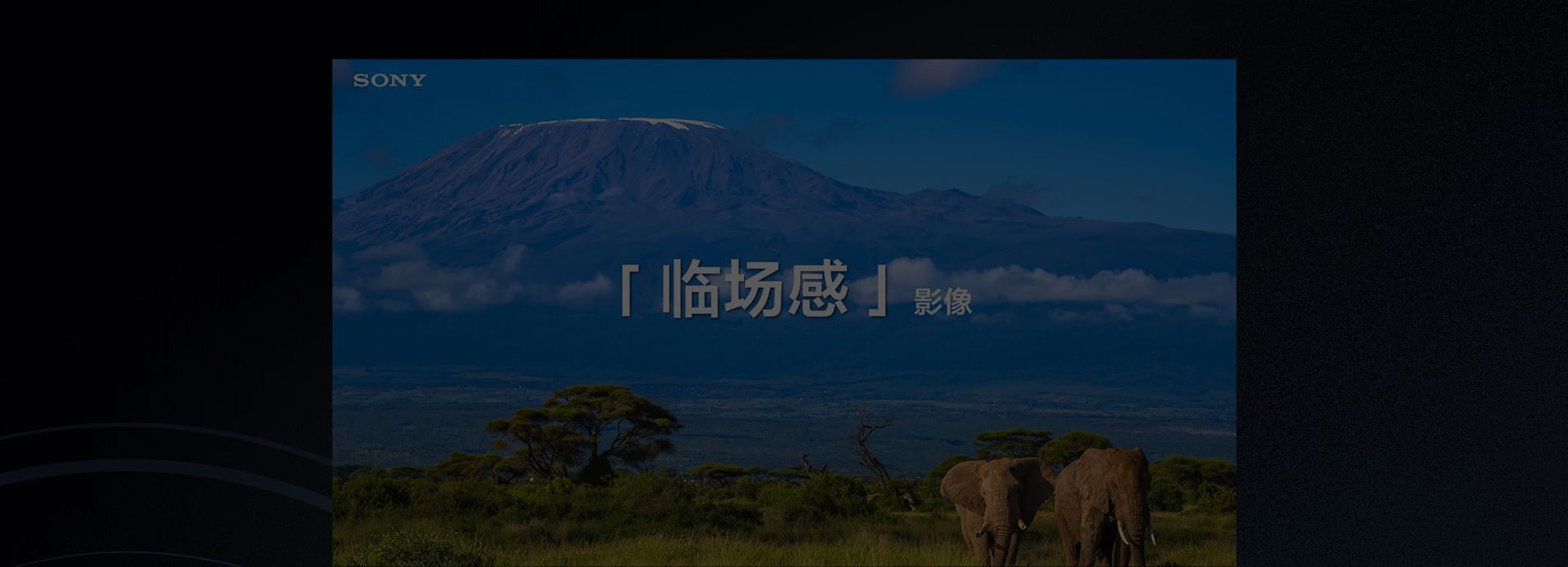 索尼临场感影像