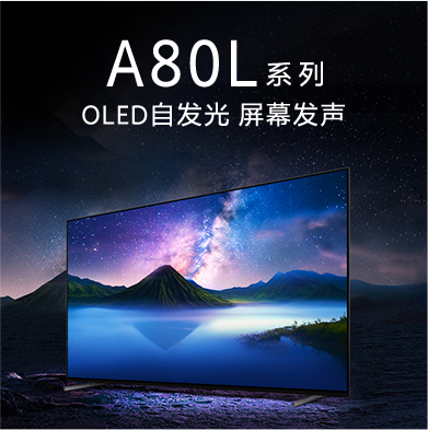 BRAVIA 摄像头