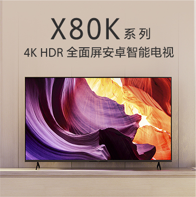 BRAVIA 摄像头