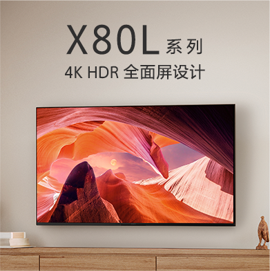BRAVIA 摄像头
