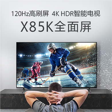 BRAVIA 摄像头