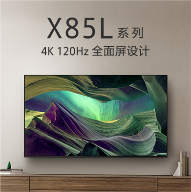 BRAVIA 摄像头