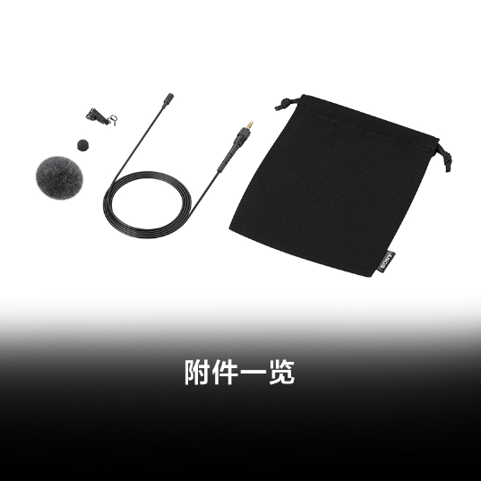 ECM-L1