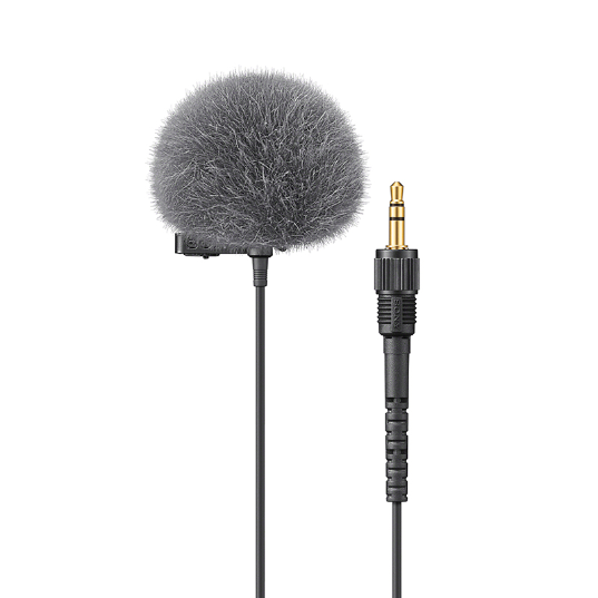 ECM-L1