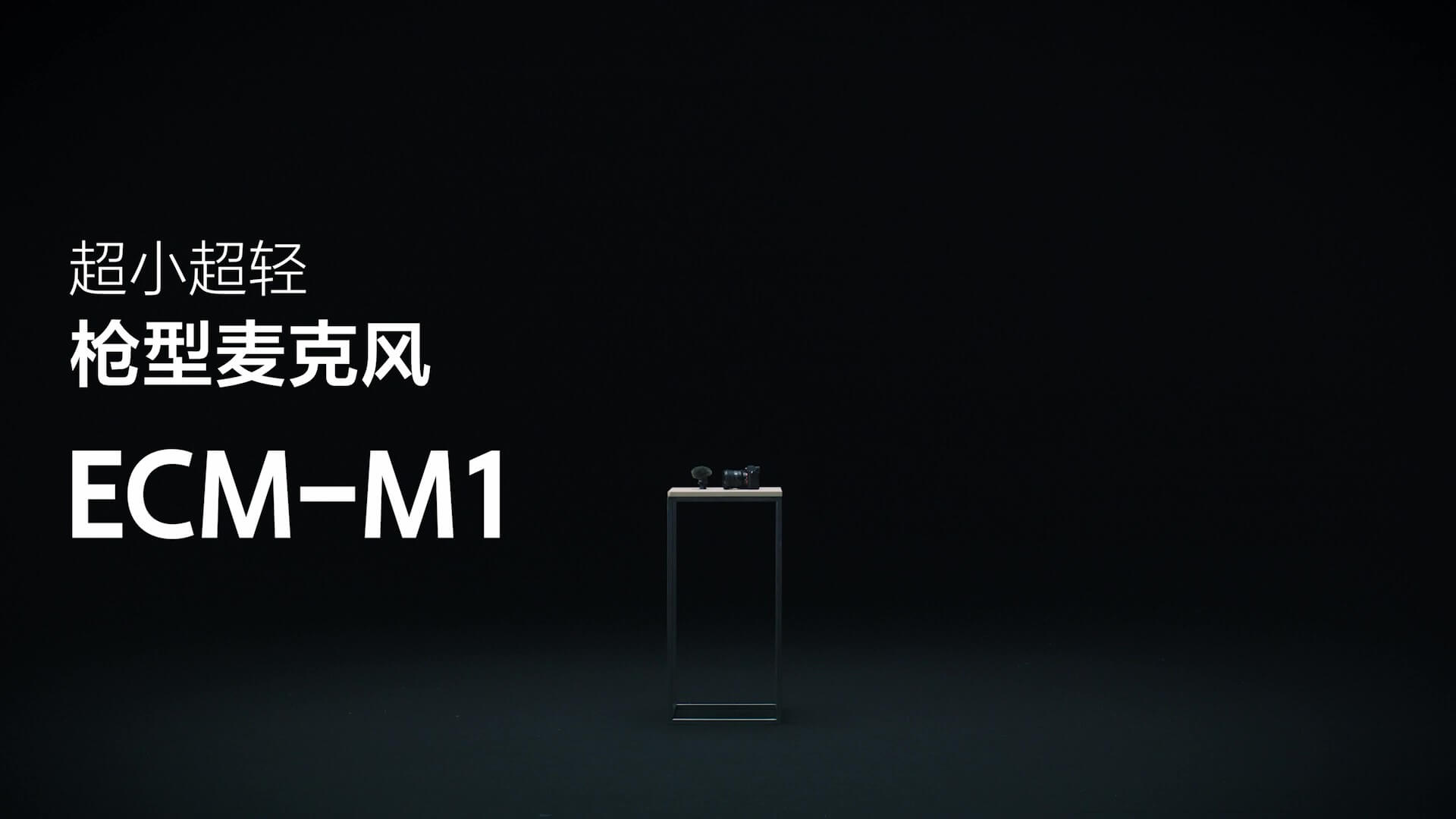ECM_M1枪型麦克风