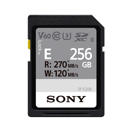 SF-E256/T2 SD存储卡-E系列 - 产品图