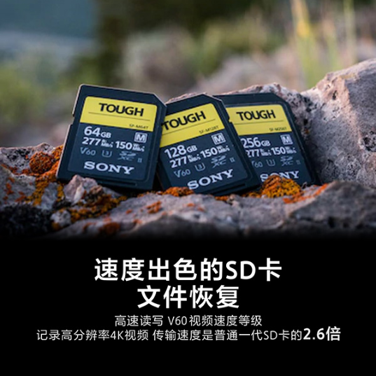 索尼(Sony)SD存储卡 SF-M系列 TOUGH规格存储卡|读卡器(SF-M64T/T1)_1