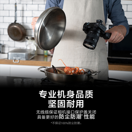 GP-VPT2BT 无线蓝牙多功能拍摄手柄 - 产品图