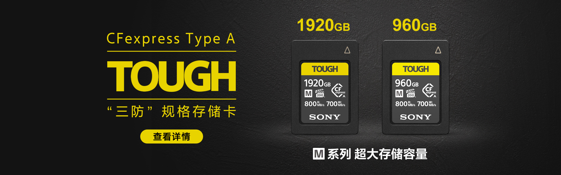 CEA-M960T CFexpress Type A存储卡