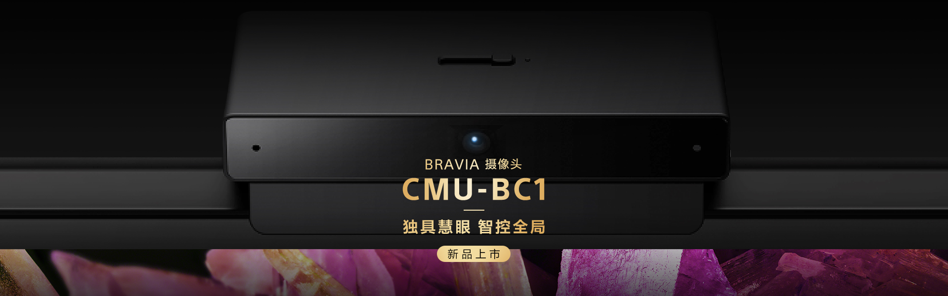 CMU-BC1 BRAVIA摄像头