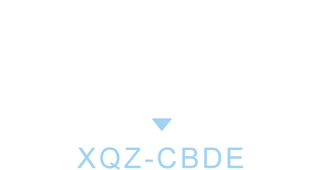 Xperia 5 V 专用支架保护壳
