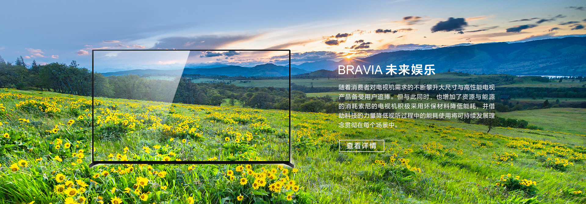 eco-tv