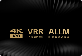 HDMI 2.1