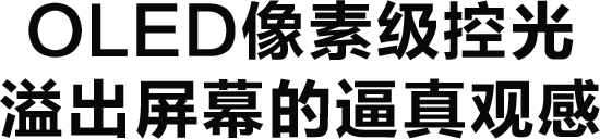 OLED像素级控光