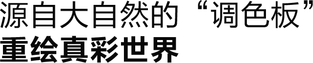 源自大自然的“调色板” 重绘真彩世界