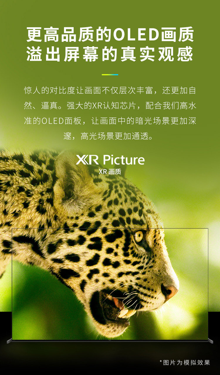XR Picture XR画质
