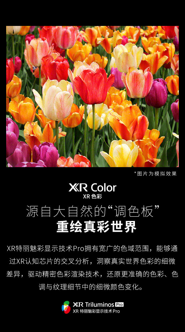 XR Color XR色彩