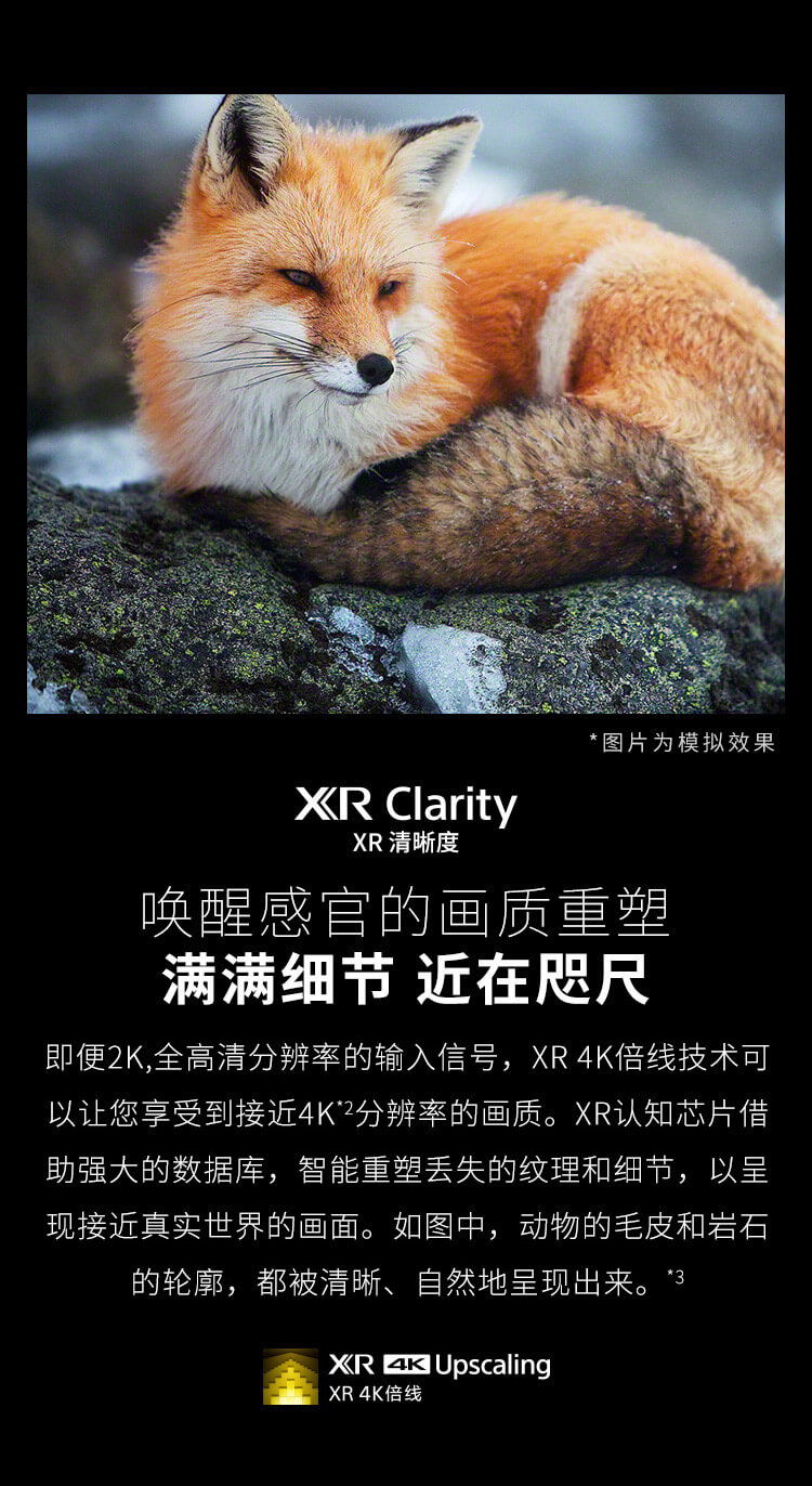 XR Clarity XR清晰度
