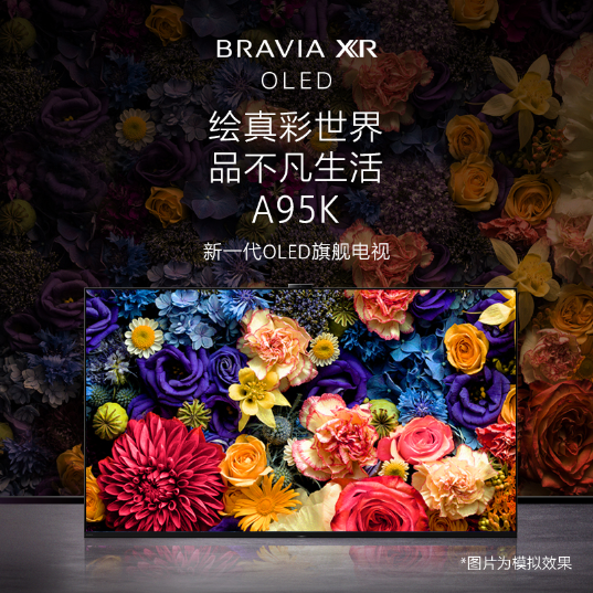 索尼(Sony)BRAVIA电视机(XR-65A95K)_1