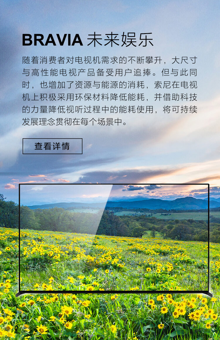 A95L系列