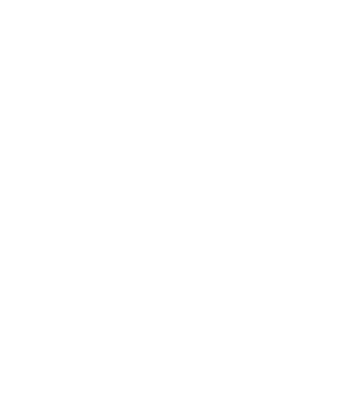 A95L系列