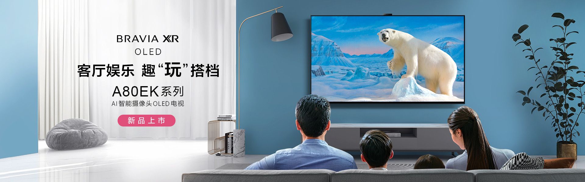 索尼电视 Sony电视 液晶电视 索尼电视机 4k电视 价格 型号 索尼电视官网 索尼中国在线商城