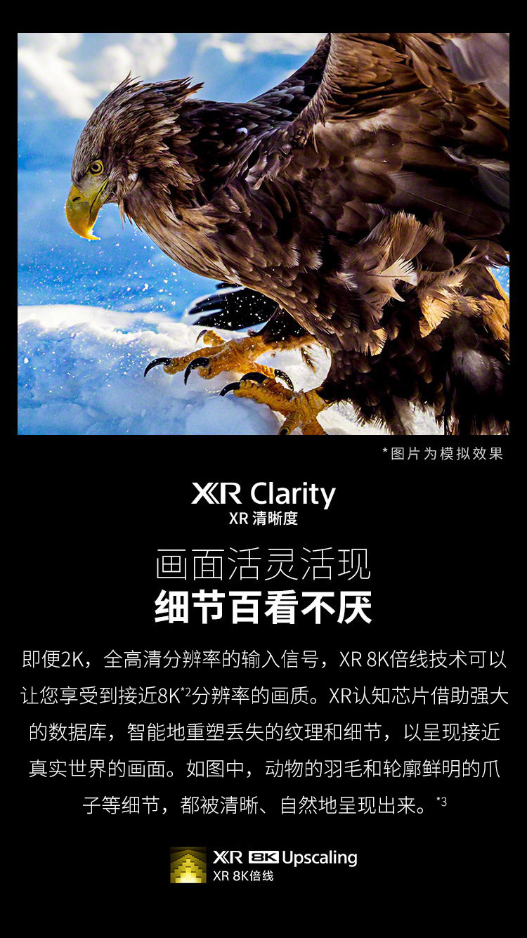 XR Clarity XR洁晰度