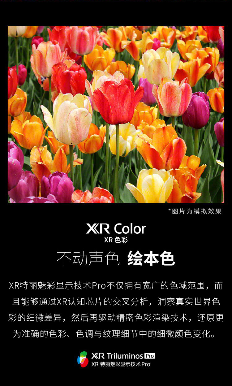 XR Color XR色彩