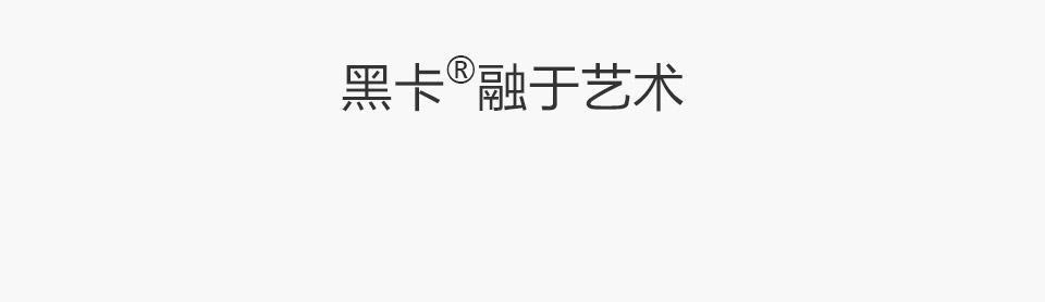 黑卡融于艺术