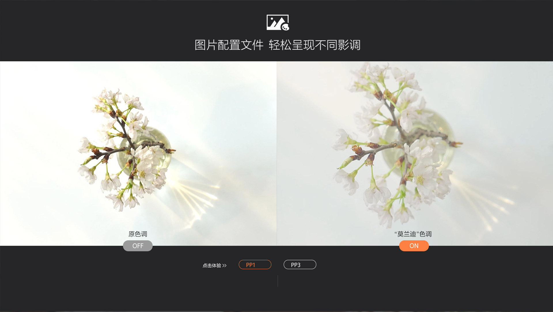 PP1效果对比图