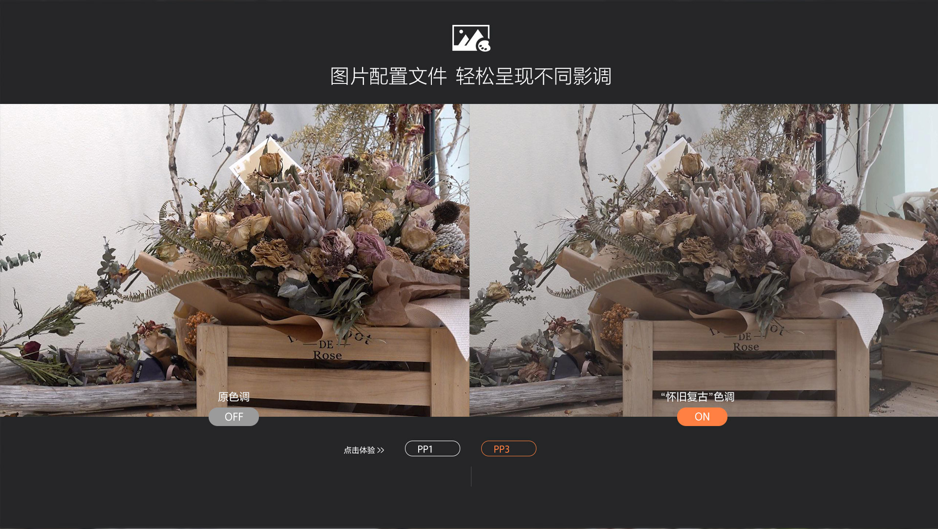 PP3效果对比图