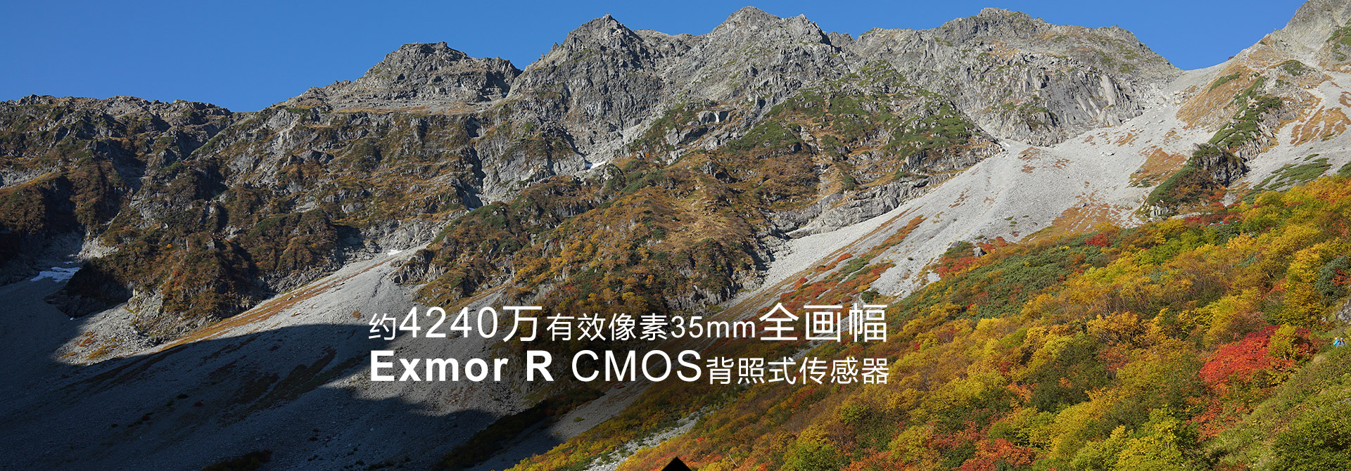 约4240万有效像素 35mm全画幅Exmor R CMOS背照式传感器