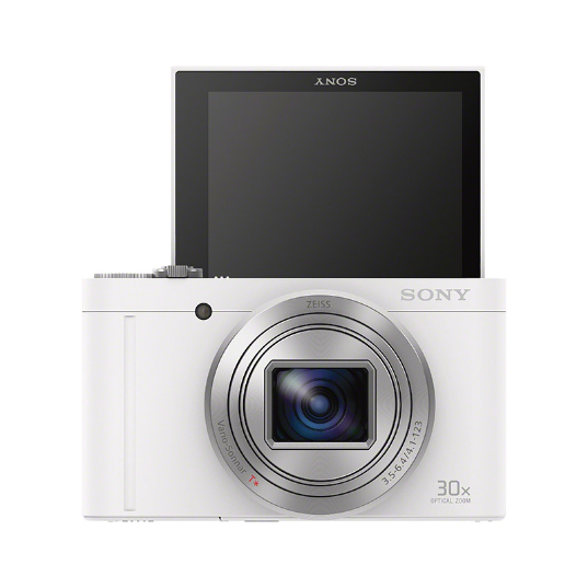DSC-WX500